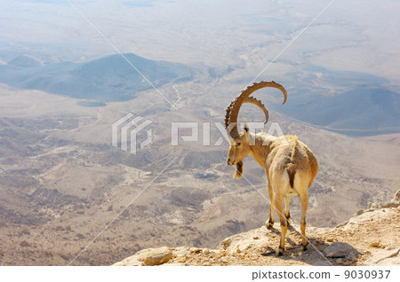 Makhtesh Ramon Makhtesh Ramon 9030937