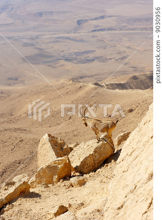 Makhtesh Ramon Makhtesh Ramon 9030956