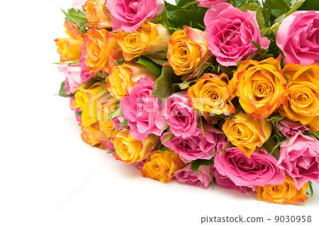 a large bouquet of roses on a white background a large bouquet of roses on a white background 9030958