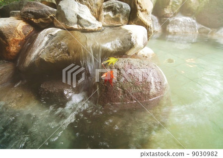 Momiji散落到日本的秋天/露天浴池中。樁垂直位置 Momiji散落到日本的秋天/露天浴池中。樁垂直位置 9030982