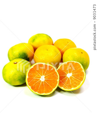 Autumn taste · colorful early bird oranges with multiple cut · white back vertical position 9031473