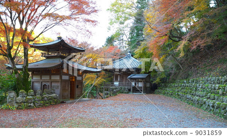 愛宕縣佛寺 9031859