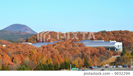 Miyagi prefecture library wrapped in autumn leaves 9032294