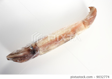 冷凍魷魚 9032774