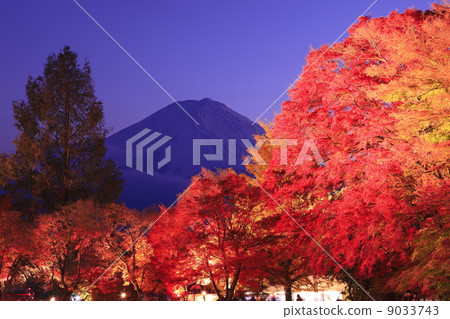 楓樹走廊和富士山 9033743