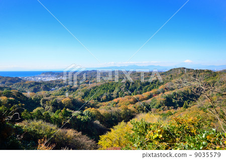 Kamakura Shishimai Valley 9035579