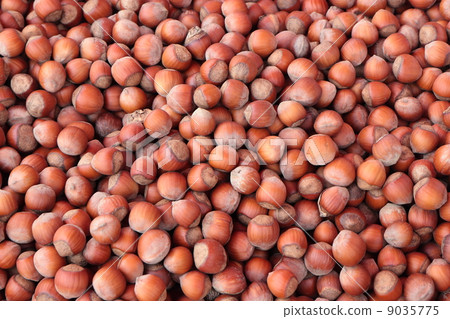hazelnuts 9035775