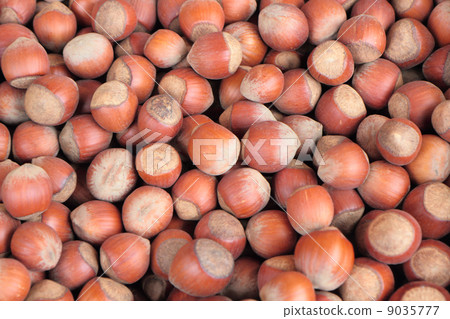 hazelnuts hazelnuts 9035777