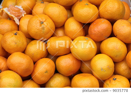 Mountain fruit. 9035778
