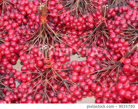 Brushes viburnum. Brushes viburnum. 9035780