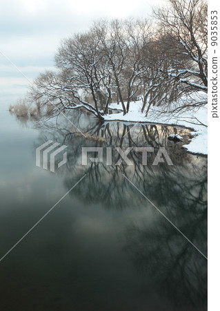 琵琶湖在冬天 琵琶湖在冬天 9035853