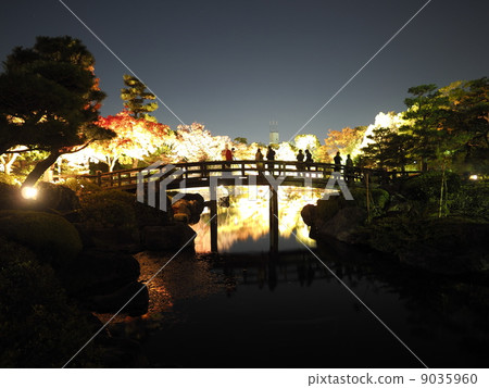 天鵝花園秋葉點亮 9035960