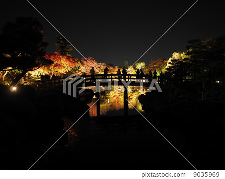 Swan garden Autumn leaves Light up 9035969
