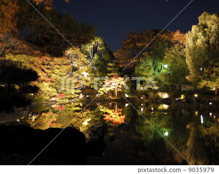 天鵝花園秋葉點亮 9035979