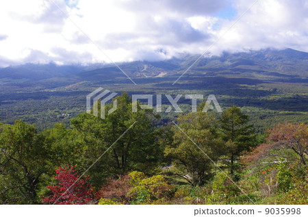 Yatsugatake Nobeyama Plateau 9035998