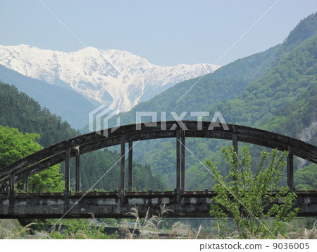 Fresh green Aokigawa Oka village 9036005