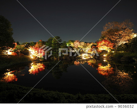 天鵝花園秋葉點亮 9036032