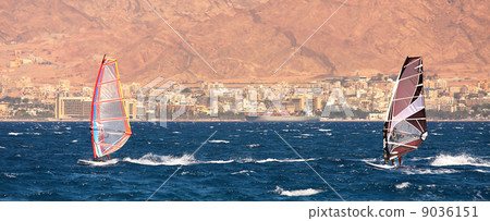 Surfers on the Red Sea. 9036151