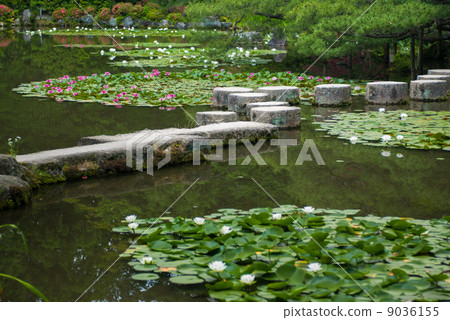 Soryu Pond和Wolso橋 9036155