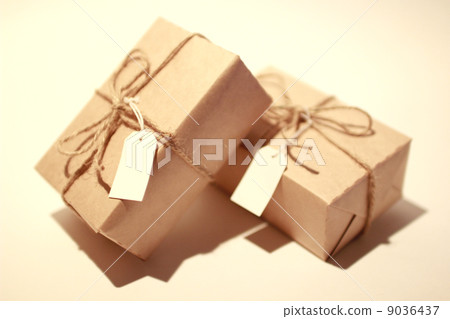 parcel 9036437