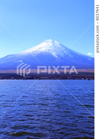富士山 - 山中湖子 9037641