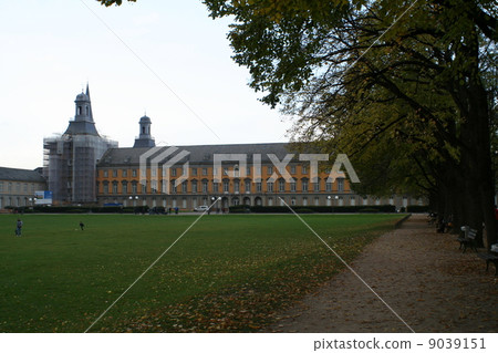 波恩，德國的街道 9039151