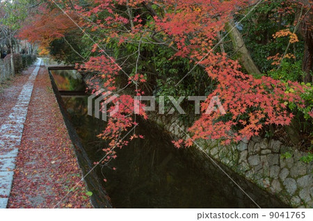 The way of autumnal philosophy The way of autumnal philosophy 9041765