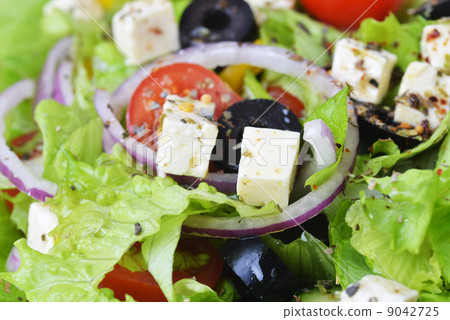 salad with fresh vegetables 9042725