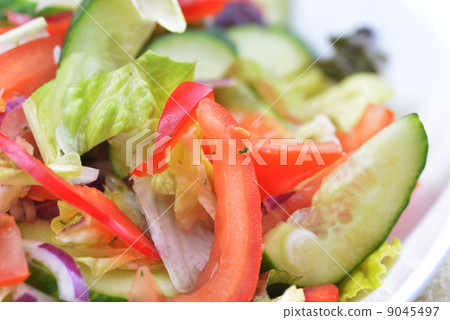 salad of fresh vegetable salad of fresh vegetable 9045497