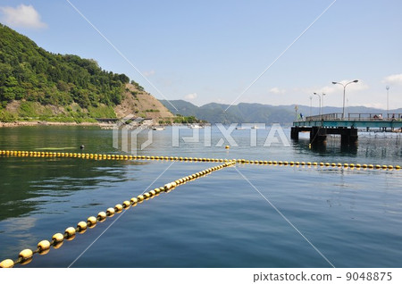 Sea fishing park Mikado Sea fishing park Mikado 9048875