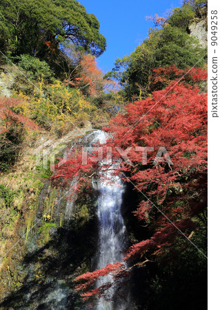 Waterfall and autumn leaves of Mino Park 9049258