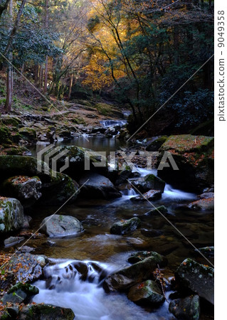 Red-Eyes Advance Falls 9049358