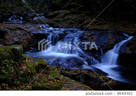 Red-Eyes Advance Falls Red-Eyes Advance Falls 9049361