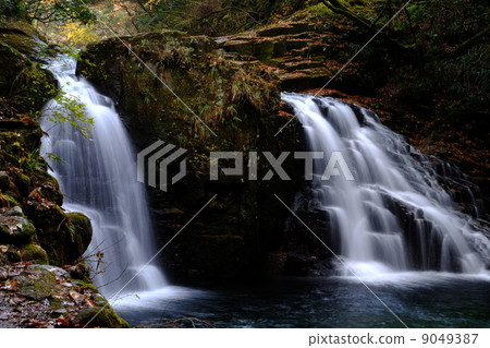 Red-Eyes Advance Falls Red-Eyes Advance Falls 9049387