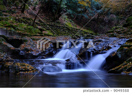 Red-Eyes Advance Falls 9049388