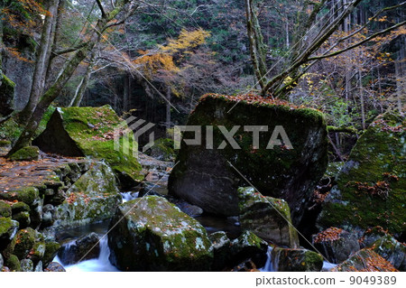 Red-Eyes Advance Falls Red-Eyes Advance Falls 9049389