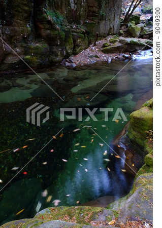 Red-Eyes Advance Falls Red-Eyes Advance Falls 9049390