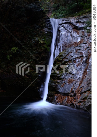 Red-Eyes Advance Falls 9049394