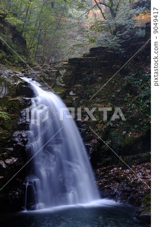 紅眼前進瀑布 紅眼前進瀑布 9049417