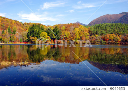 金沼市森林公園 9049653