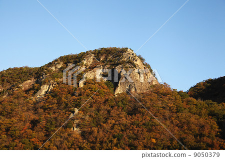 Dyed immovable rock 9050379