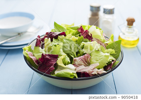 Salad Salad 9050418