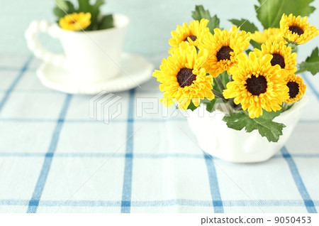 Spray mum 9050453