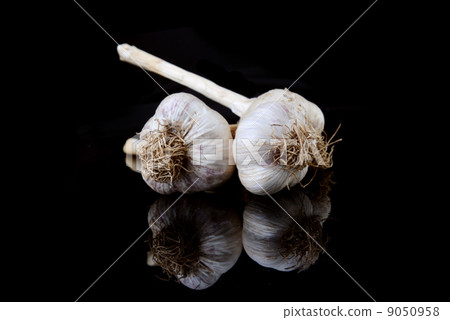 garlic bulb garlic bulb 9050958