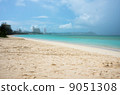 Beach in Guam 9051308