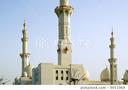 Abu Dhabi Sheikh Zayed White Mosque in UAE 9051969