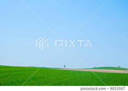 Biei's sky 9052087