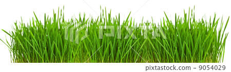 Grass borde 9054029