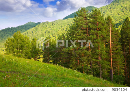 Altai mountains. Siberia 9054104