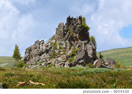 Castle Mountain Spirits 9054330